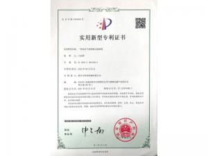 實(shí)用新型證書(shū) 實(shí)用新型證書(shū)